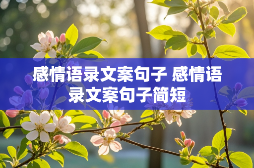 感情语录文案句子 感情语录文案句子简短