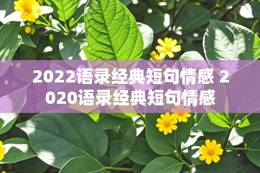 2022语录经典短句情感 2020语录经典短句情感