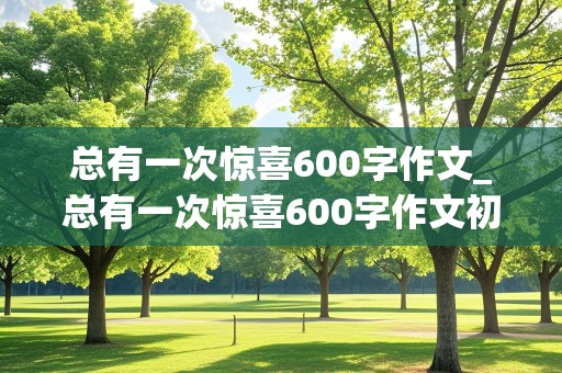 总有一次惊喜600字作文_总有一次惊喜600字作文初中