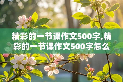 精彩的一节课作文500字,精彩的一节课作文500字怎么写