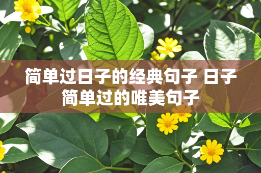 简单过日子的经典句子 日子简单过的唯美句子