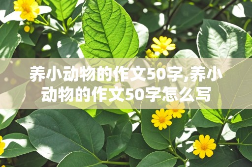 养小动物的作文50字,养小动物的作文50字怎么写