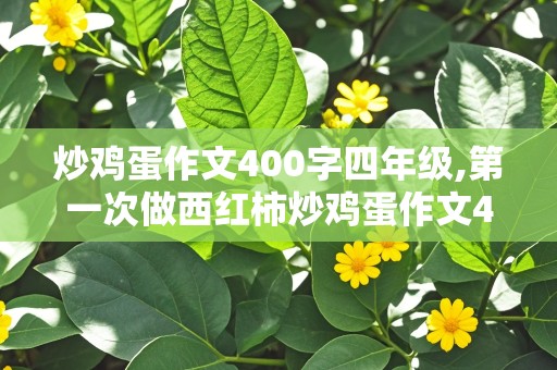 炒鸡蛋作文400字四年级,第一次做西红柿炒鸡蛋作文400字四年级