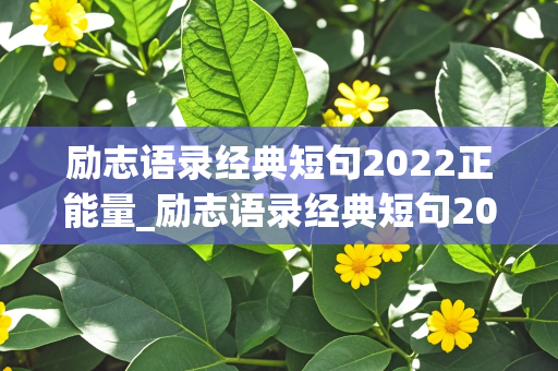 励志语录经典短句2022正能量_励志语录经典短句2022正能量图片