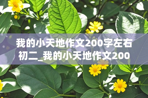 我的小天地作文200字左右初二_我的小天地作文200字左右初二说明文