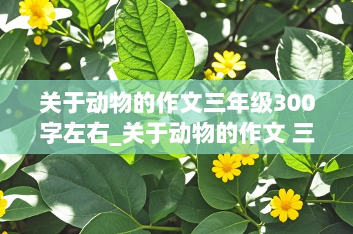 关于动物的作文三年级300字左右_关于动物的作文 三年级 小学生 四年级