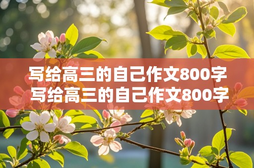 写给高三的自己作文800字 写给高三的自己作文800字议论文