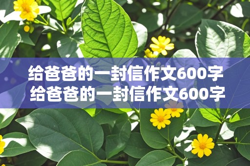 给爸爸的一封信作文600字 给爸爸的一封信作文600字初二作文