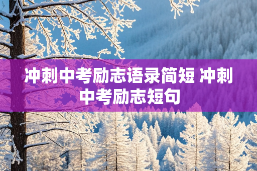 冲刺中考励志语录简短 冲刺中考励志短句