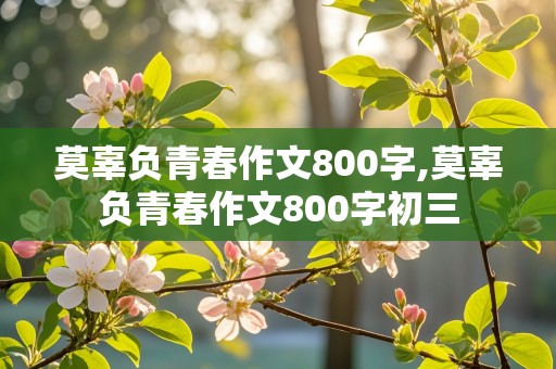 莫辜负青春作文800字,莫辜负青春作文800字初三