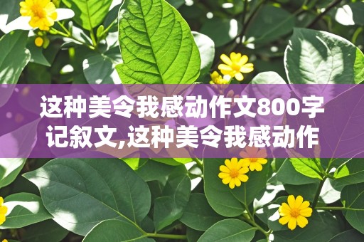 这种美令我感动作文800字记叙文,这种美令我感动作文800字记叙文怎么写