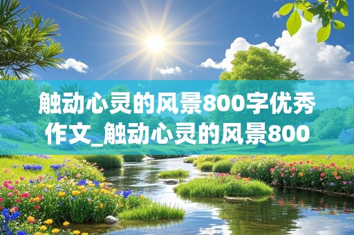 触动心灵的风景800字优秀作文_触动心灵的风景800字优秀作文猫