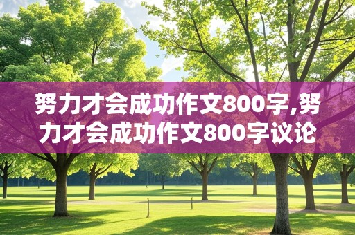 努力才会成功作文800字,努力才会成功作文800字议论文