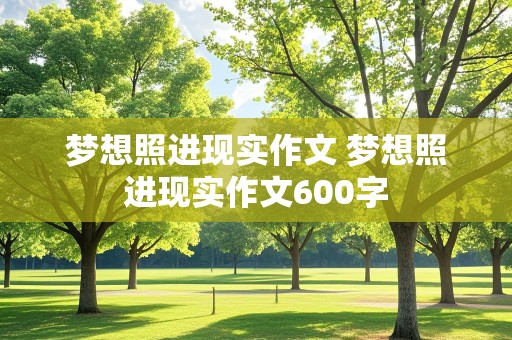 梦想照进现实作文 梦想照进现实作文600字