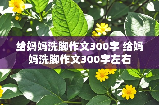 给妈妈洗脚作文300字 给妈妈洗脚作文300字左右