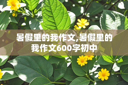 暑假里的我作文,暑假里的我作文600字初中