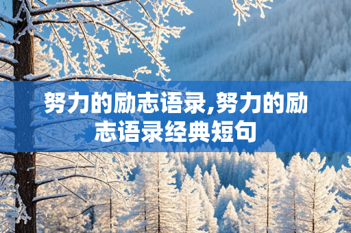 努力的励志语录,努力的励志语录经典短句