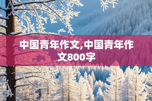 中国青年作文,中国青年作文800字