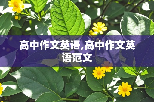 高中作文英语,高中作文英语范文