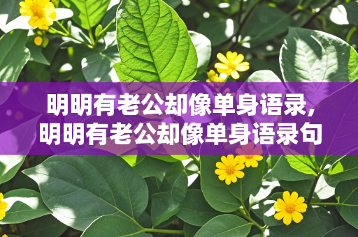 明明有老公却像单身语录,明明有老公却像单身语录句子