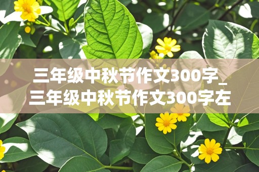 三年级中秋节作文300字_三年级中秋节作文300字左右