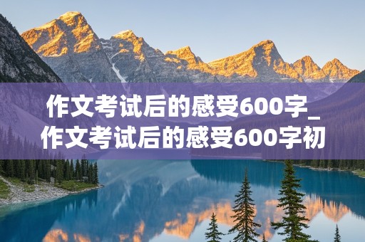 作文考试后的感受600字_作文考试后的感受600字初中