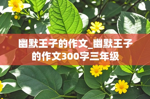 幽默王子的作文_幽默王子的作文300字三年级