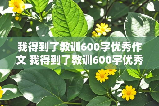 我得到了教训600字优秀作文 我得到了教训600字优秀作文图片