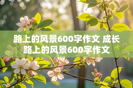 路上的风景600字作文 成长路上的风景600字作文