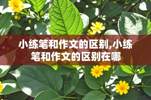 小练笔和作文的区别,小练笔和作文的区别在哪