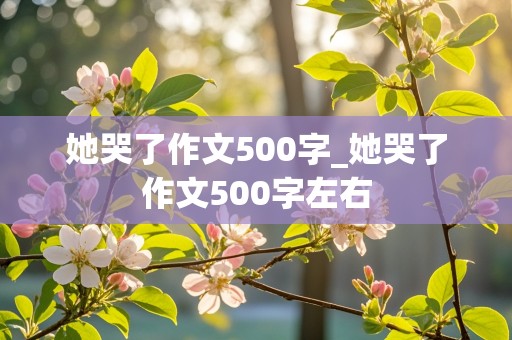 她哭了作文500字_她哭了作文500字左右