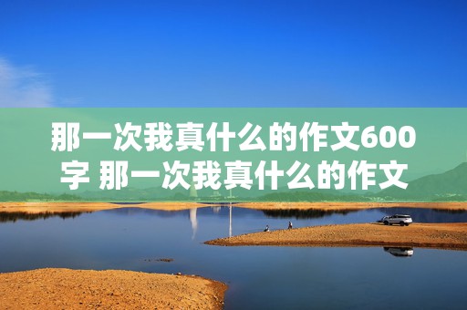 那一次我真什么的作文600字 那一次我真什么的作文600字关于社会