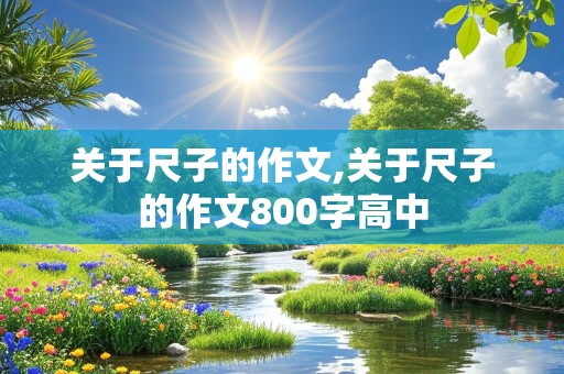 关于尺子的作文,关于尺子的作文800字高中