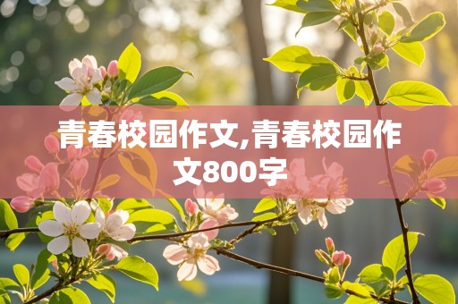 青春校园作文,青春校园作文800字