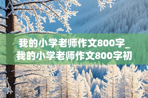 我的小学老师作文800字_我的小学老师作文800字初一