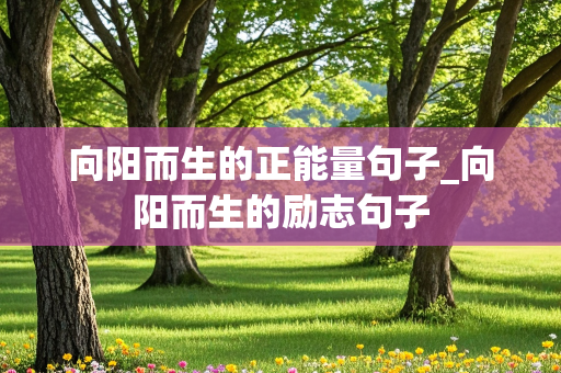 向阳而生的正能量句子_向阳而生的励志句子