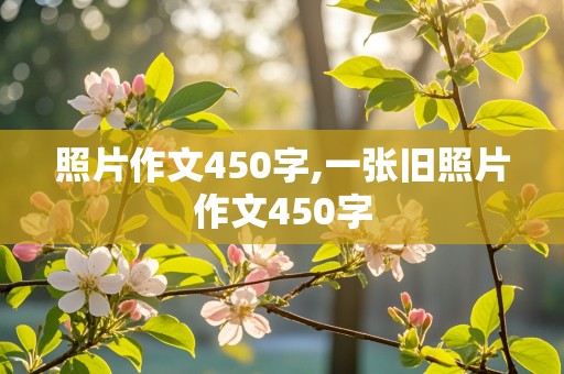 照片作文450字,一张旧照片作文450字