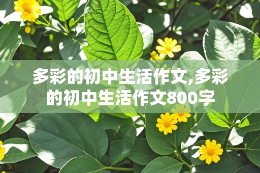 多彩的初中生活作文,多彩的初中生活作文800字