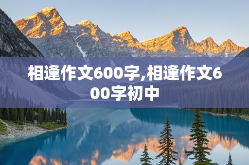 相逢作文600字,相逢作文600字初中