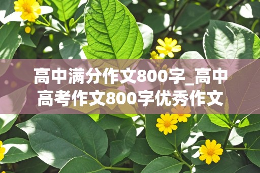 高中满分作文800字_高中高考作文800字优秀作文