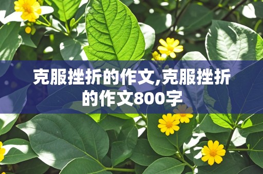 克服挫折的作文,克服挫折的作文800字