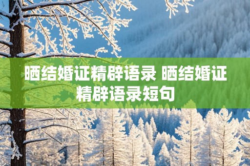 晒结婚证精辟语录 晒结婚证精辟语录短句