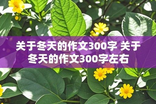 关于冬天的作文300字 关于冬天的作文300字左右