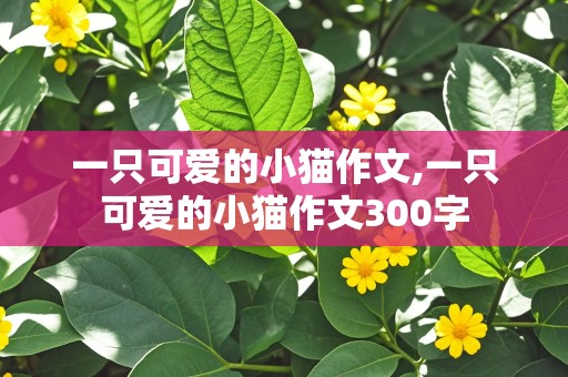 一只可爱的小猫作文,一只可爱的小猫作文300字