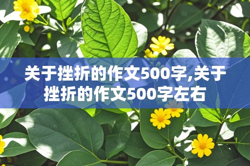 关于挫折的作文500字,关于挫折的作文500字左右