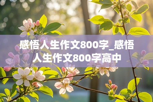 感悟人生作文800字_感悟人生作文800字高中