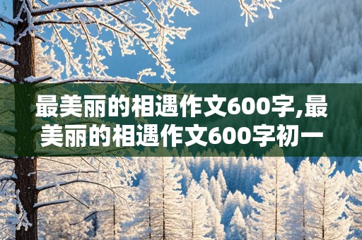 最美丽的相遇作文600字,最美丽的相遇作文600字初一