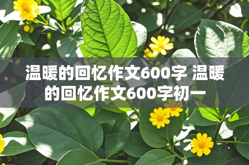 温暖的回忆作文600字 温暖的回忆作文600字初一