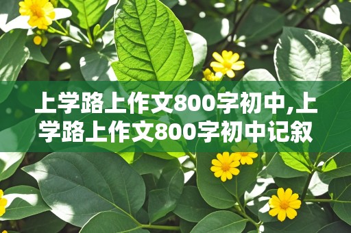 上学路上作文800字初中,上学路上作文800字初中记叙文