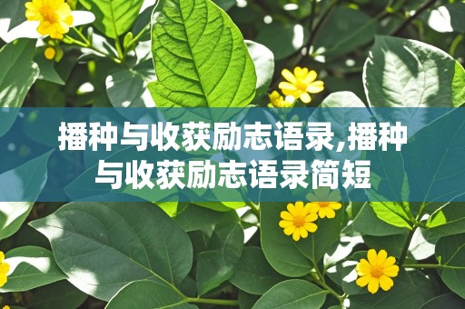 播种与收获励志语录,播种与收获励志语录简短